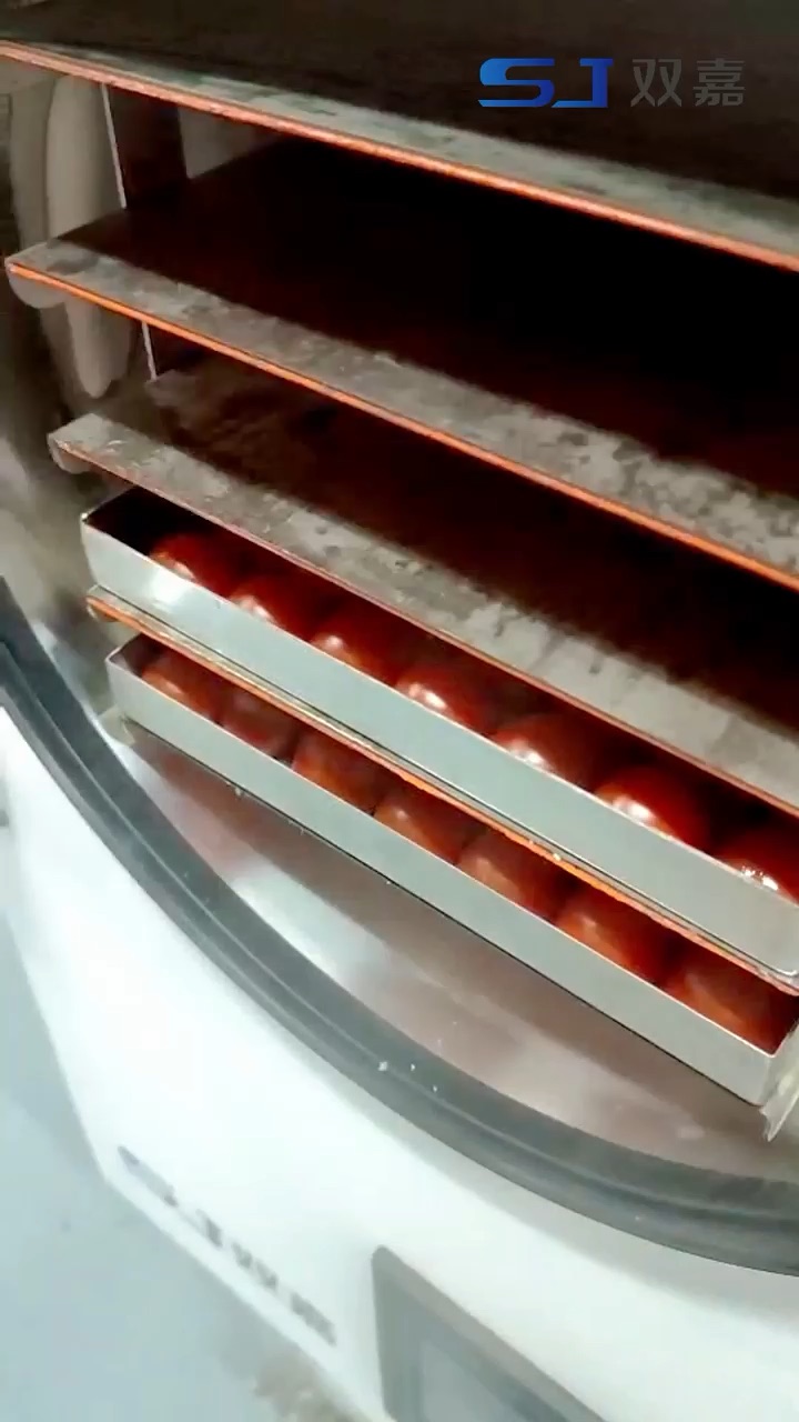 Cherry Tomato Freeze Drying with an H Series Machine