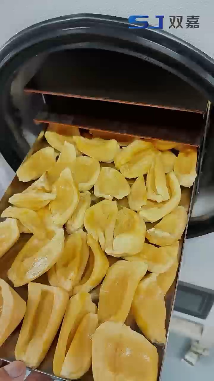 Jackfruit Freeze Drying with an H Series Food Freeze Dryer
