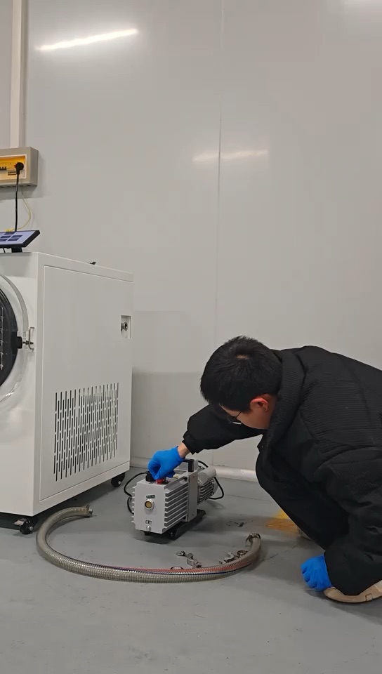 Strawberry Freeze Drying in an H Series Food Freeze Dryer