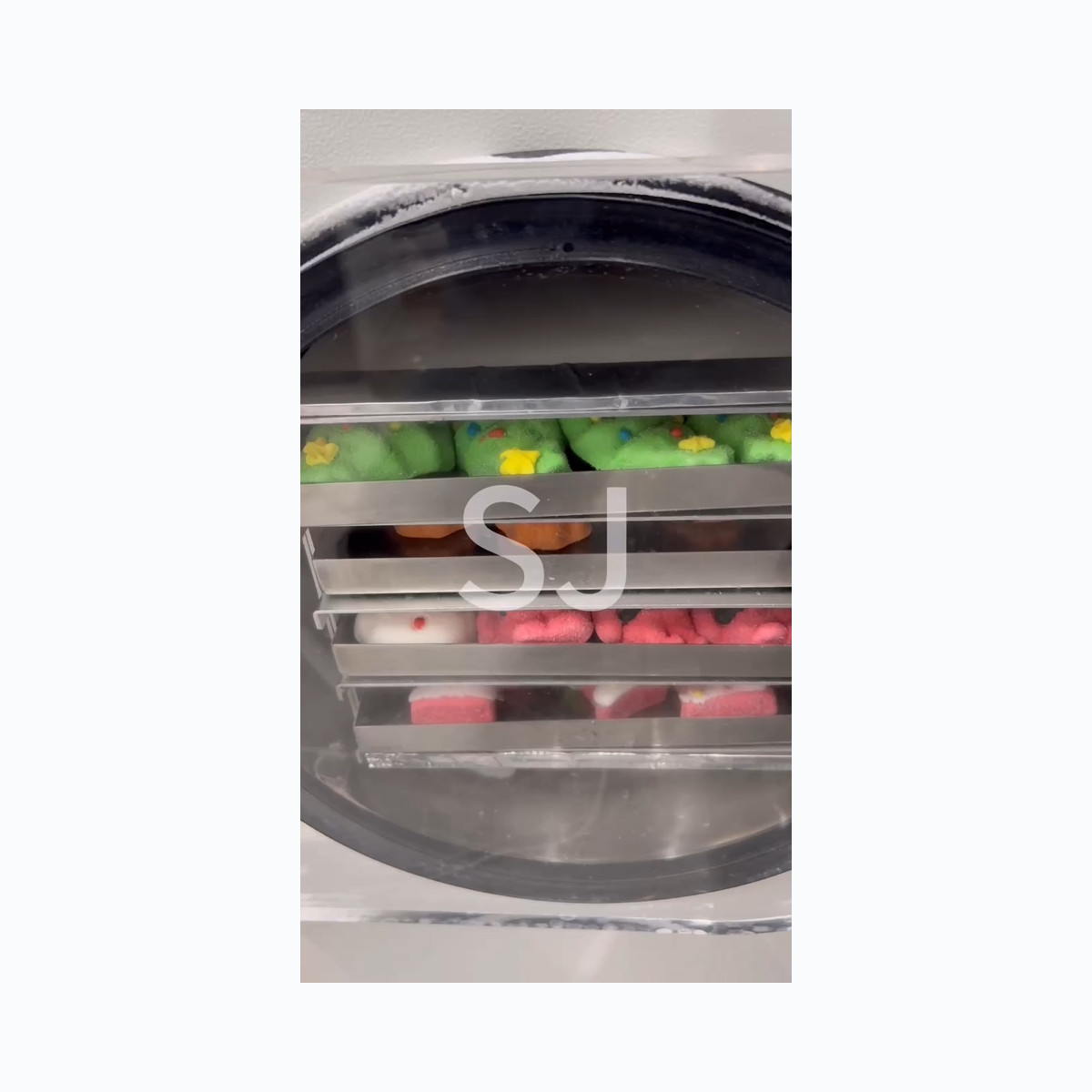SJ-20H-55C freeze drying process